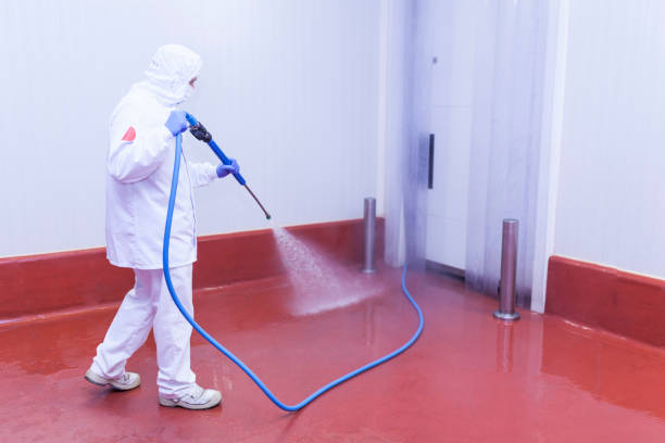 Best Rust Removal  in Cliffwood Beach, NJ
